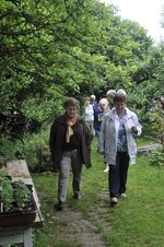 Im Naturgarten von Leonie Geigle