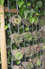 Im Garten von Elsbeth Mayer