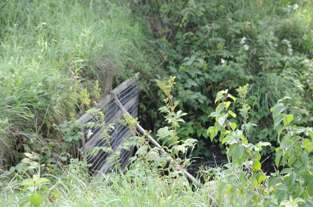 Gitter, dass gegen Verstopfung schützt