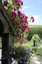 Der ländliche Bauerngarten von Petra Boppert