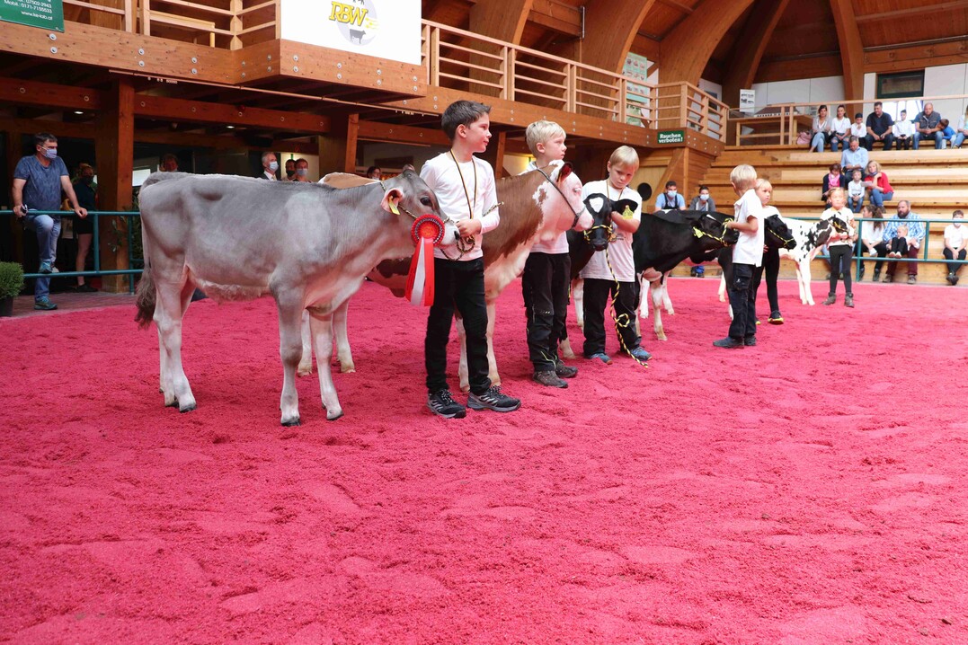 Jungz�chtertag 2020