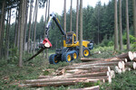 Seit 2004 ist WFW Exklusiv-Importeuer für EcoLog und inzwischen der weltweit bedeutendste. Bei den Forst- und Agrartagen in Wolfegg konnten die Besucher die Technik live erleben. Hier der EcoLog 590E mit LogMax 700C-Harveserkopf im Starkholzeinsatz.