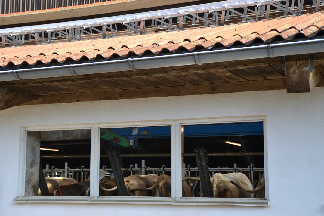 Ein Wind-Regen-Temperatur-Sensor stellt sicher, dass das Dach bei Wetterveränderungen automatisch geschlossen wird.