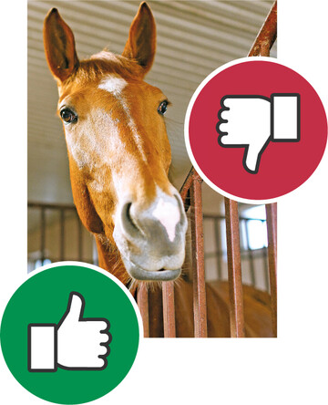 Bewertungen sind ein Verbraucherrecht. Ungerechtfertigte Aussagen muss man sich aber nicht gefallen lassen.