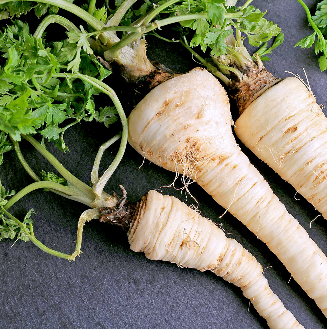 Pastinake oder Petersilienwurzel? Petersilienwurzeln sind im Kopfbereich meist zwischen drei und f�nf Zentimetern dick und maximal 20 Zentimeter lang. Eine Pastinake (Foto) dagegen kann auch mal l�nger sein und hat vor allem ein deutlich dickeres Kopfteil. Das beste Unterscheidungskriterium ist aber neben dem Blattansatz  Bei der Pastinake sieht er aus wie eingesunken, w�hrend er bei der Petersilienwurzel nach oben gew�lbt ist  der Duft: Die Pastinake duftet nach M�hren und hat eine angenehm nussig-herbe S��e. Nach dem ersten Frost schmeckt sie sogar noch milder und s��er. Die Petersilienwurzel hingegen riecht und schmeckt unverkennbar gut nach Petersilie  mit einer leichten Anis-Note. Damit ist sie eine ideale Zutat in Suppen und Eint�pfen und traditioneller Bestandteil im klassischen Suppengr�n.