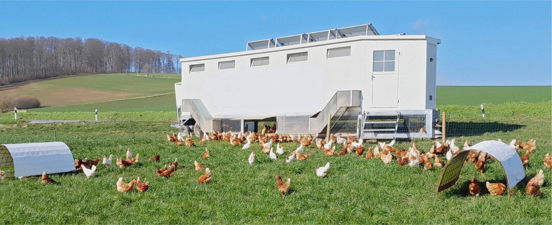 Die Arbeitszeit im Mobilstall h�ngt unter anderem von der Anzahl der Hennen und der Entfernung vom Hof ab.�