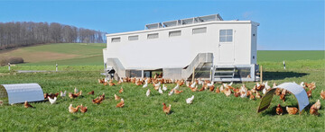 Die Arbeitszeit im Mobilstall hängt unter anderem von der Anzahl der Hennen und der Entfernung vom Hof ab.