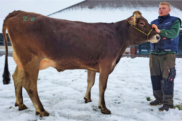 Diese Naturel-Tochter von Helmut Sch�llhorn, Ummendorf, war besonders gefragt.