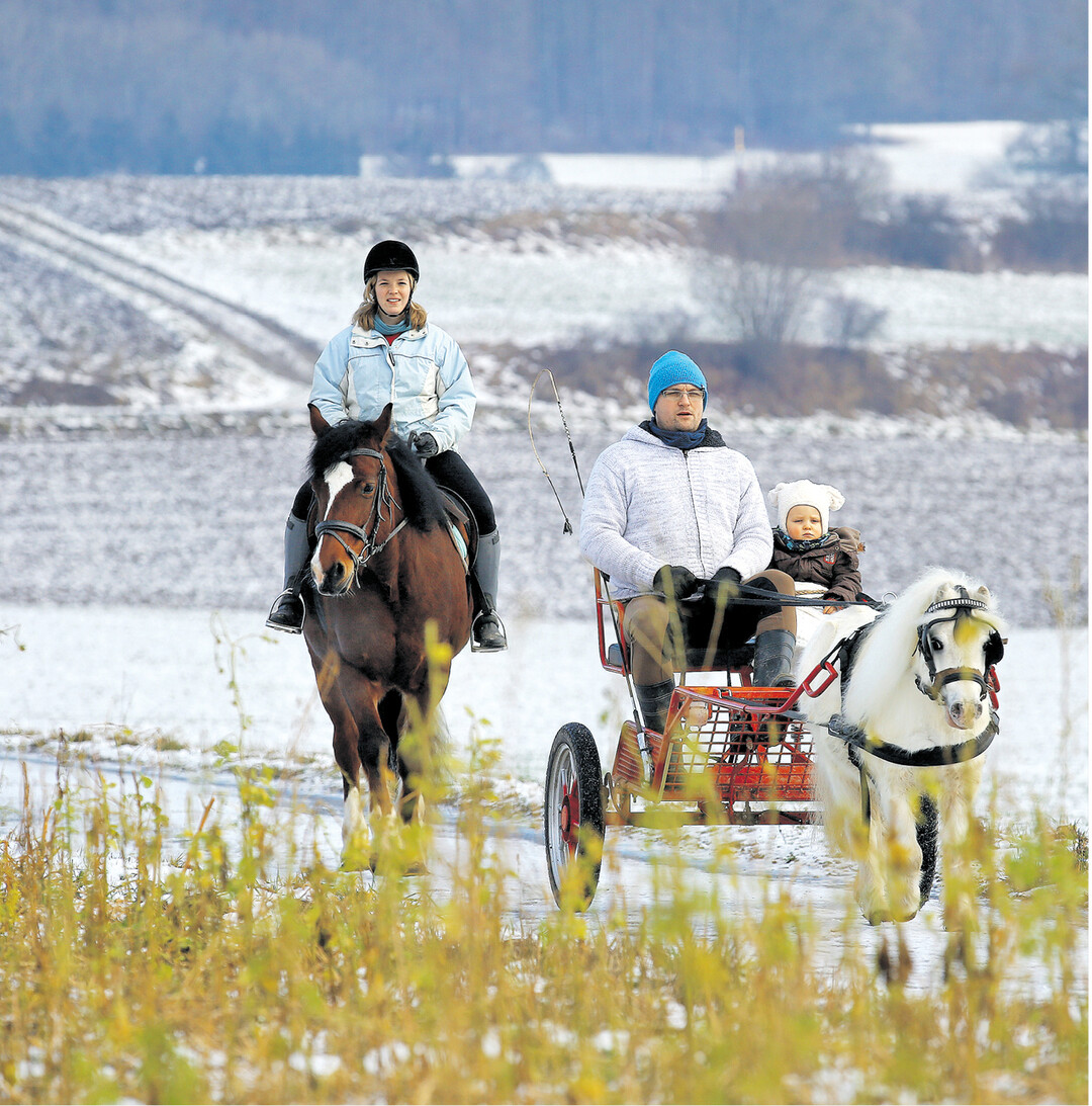 bild der woche Jasmin und Matthias Manz mit Sohn Manuel genie�en am 8. Januar 2016 Ausritt und Kutschfahrt mit Pony bei Andelfingen im Landkreis Biberach. Dieses Wochenende k�nnen sie vermutlich den Schlitten zur Ausfahrt anspannen.
