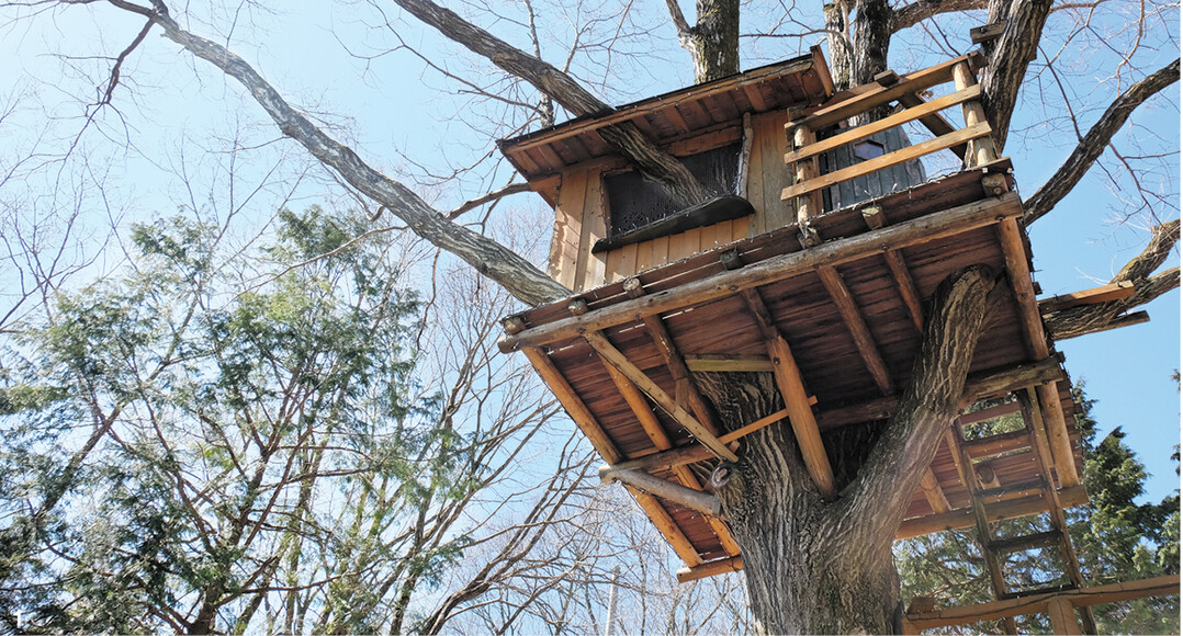 Die stabile Unterkonstruktion dieses Baumhauses ist aus dieser Perspektive gut zu sehen.