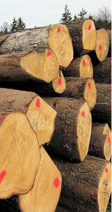 Brummt die Wirtschaft, dann w�chst die Erzeugung von Rundholz. Das kommt sogar dem Klima zugute, wie die FAO feststellt.