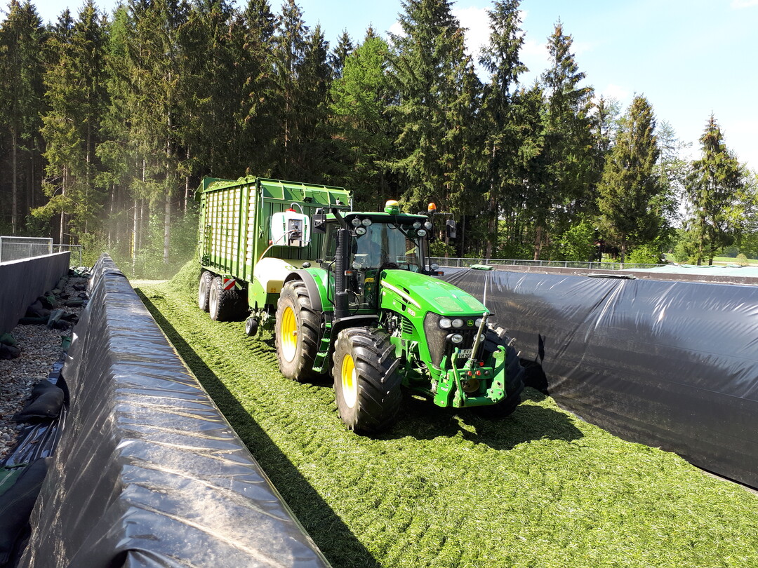 Nur eine geringe Schichtdicke führt zu einer guten Verdichtung. Daher ist die ganze Länge des Silos zur Verteiung des Futters auszunutzen.