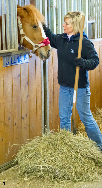 Stecken im Heu Herbstzeitlosen, besteht die Gefahr, dass die Pferde die Pflanzen mitfressen und krank werden.