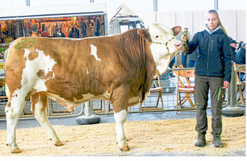 Den Tagesh�chstpreis von 2000 Euro erl�ste der K�rsieger, ein Hilfinger-Sohn von Alfred Berger, Herbertingen-Mieterkingen.