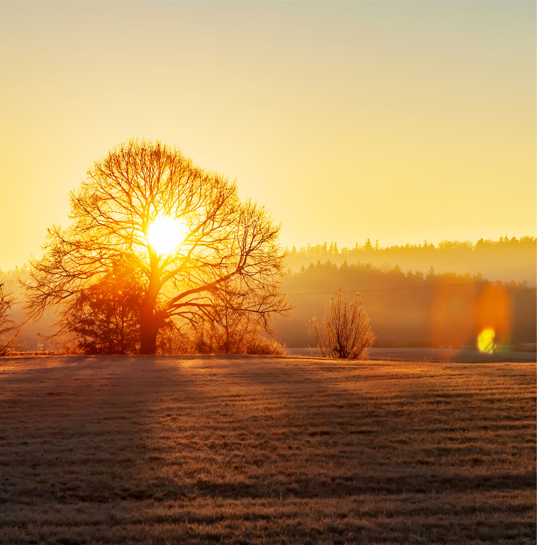 Sonnenaufgang in Frankenhardt im Landkreis Schw�bisch Hall. Reinhard Hassel machte bei eisigen Temperaturen von minus sechs Grad Celsius dieses stimmungsvolle Foto.