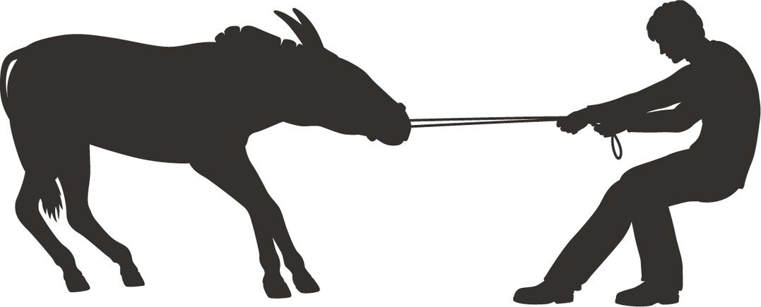 Manchmal k�mpft man gegen sich selbst wie gegen einen bockigen Esel.