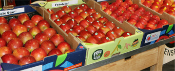 Um der Konsumflaute bei �pfeln zu begegnen, muss die Qualit�t der Ware stimmen, Standardsorten m�ssen gepflegt und gute Neuheiten ins Sortiment aufgenommen werden.