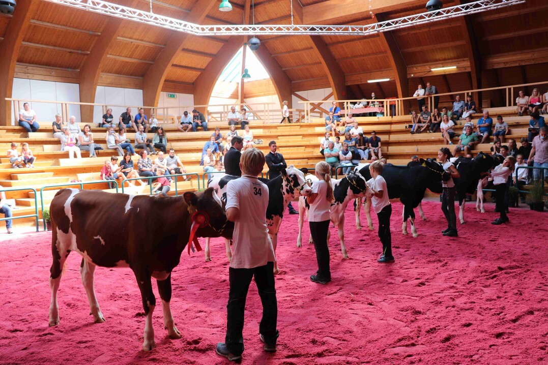 Jungz�chtertag 2020