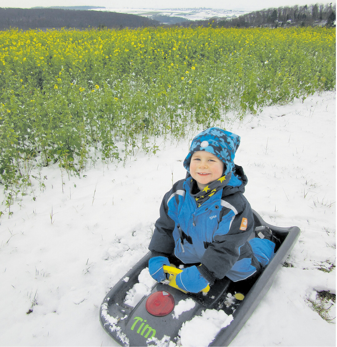 bild der woche Tim im Schnee beim Bobfahren in Heimerdingen, Kreis Ludwigsburg, und der Senf bl�ht noch im Hintergrund! �Einfach nur cool", schreibt Yvonne Rakow, die das Bild vor 14 Tagen geknipst hat.