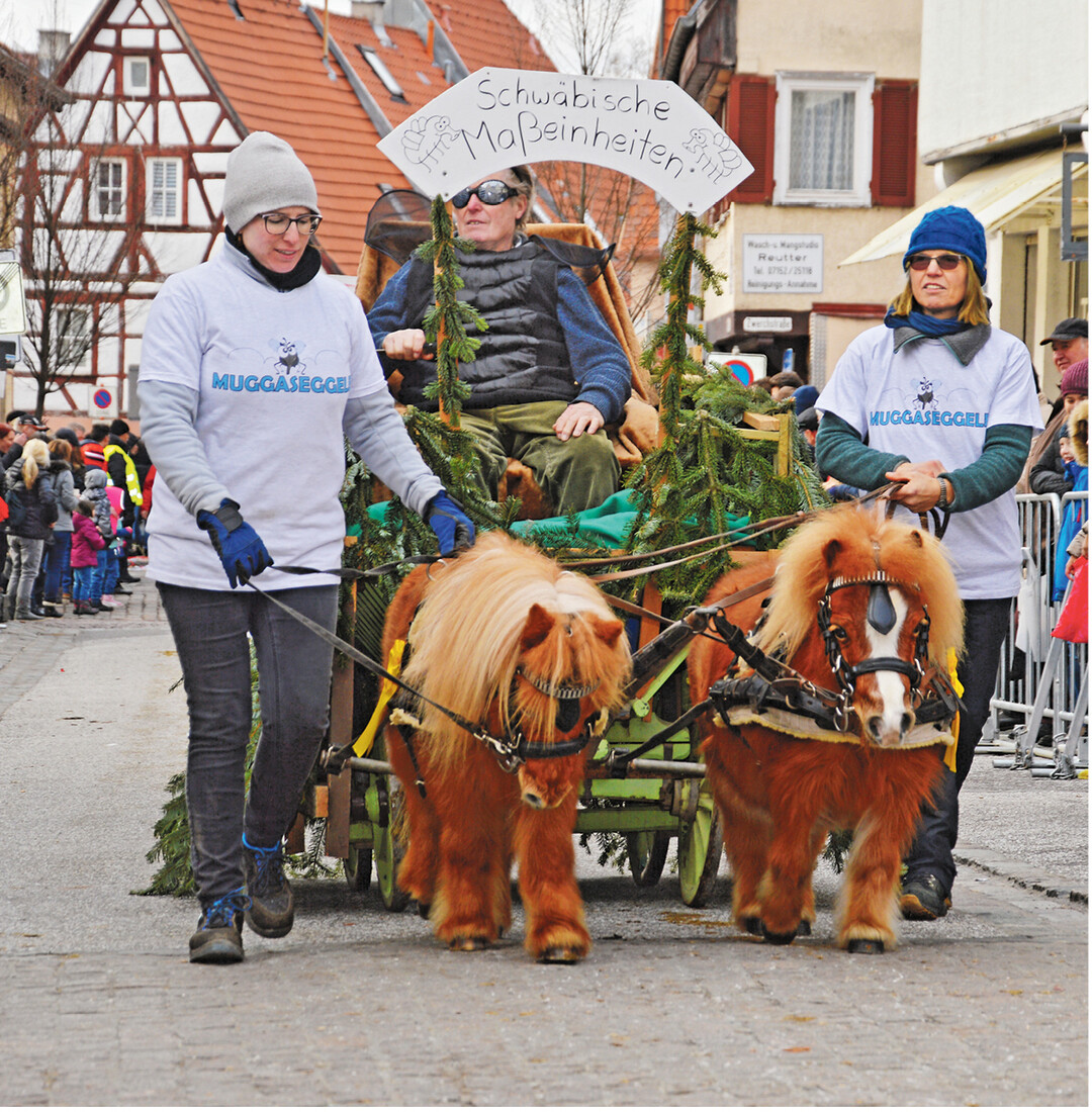 Beim Leonberger Pferdemarkt erfreut sich besonders der bunte Festumzug mit Pferden und Gespannen gro�er Beliebtheit, am Dienstag, 11. Februar 2020, ab 14 Uhr in der Innenstadt. Ab Freitag, 7. Februar, wird jeden Tag viel geboten. Das gesamte 56- seitige Programmheft gibt es als pdf im Internet: www.leonberg.de/Pferdemarkt2020.