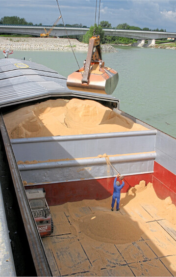 Die Preise für Mischfutter steigen seit der letzten Ernte. Regionale Eiweißträger aus Europa sind besonders knapp und teuer.