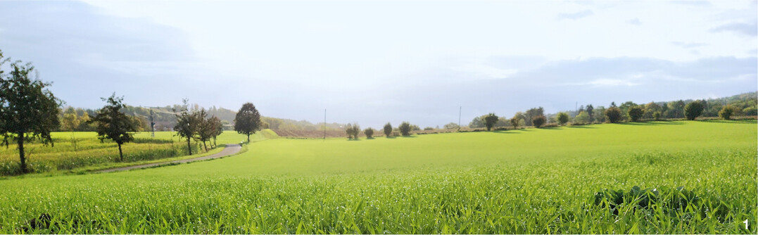 Mit D�ngeverordnung und Klimawandel wird die richtige D�ngung immer wichtiger, auch das D�ngen mit Schwefel in Winterungen.