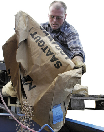 S�mtliche Leguminosen  im Bild Erbsensaatgut  sind zur anstehenden Aussaat im S�dwesten stark gefragt.