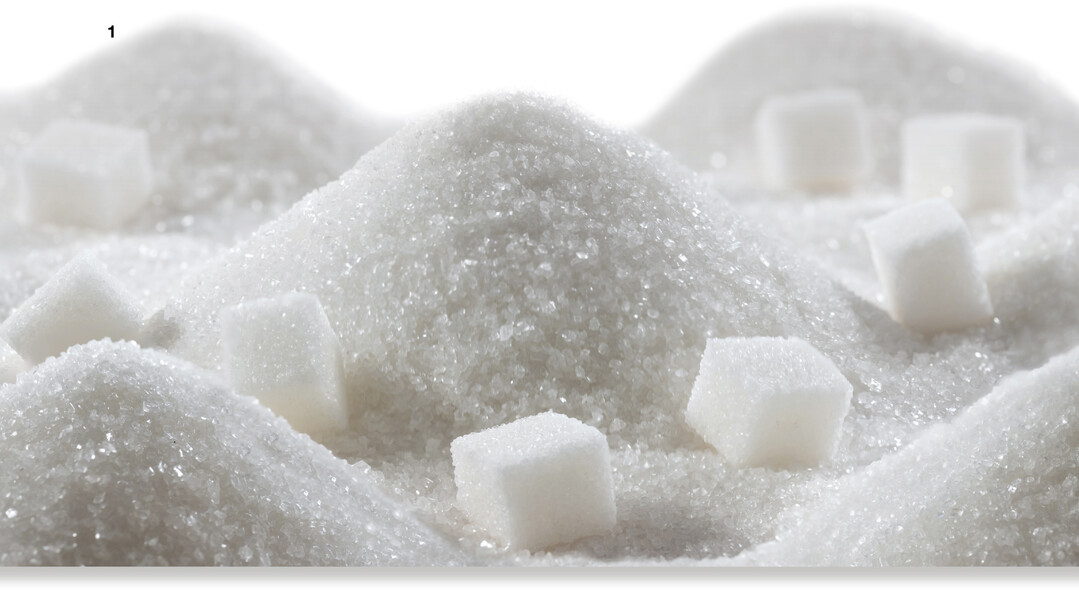 Wei�er Haushaltszucker besteht aus dem Zweifachzucker Saccharose.