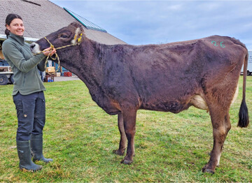 Diese Antonov-Tochter mit 38 kg ging zum H�chstpreis von 3600 Euro nach Hessen.