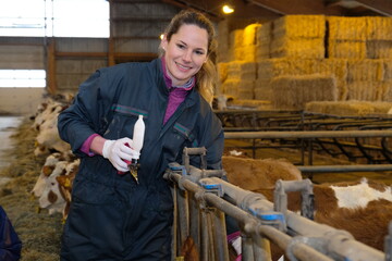 Startschuss f�r landesweite Impfkampagne gegen die Blauzungenkrankheit in Markgr�ningen