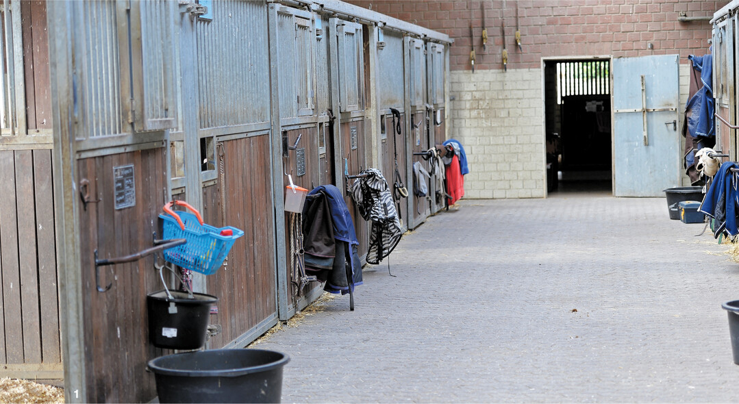Um sich vor Infektionskrankheiten zu sch�tzen, sollten Pferdebetriebe ein Biosicherheitskonzept vorsehen.