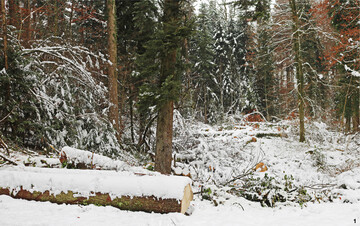 Bei der Winterarbeit ist Vorsicht geboten. Man sollte immer zu zweit sein, bei starkem Schneefall müssen die Arbeiten eingestellt werden.
