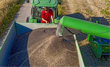 Im Januar sind die Rapspreise noch weiter auf Talfahrt gegangen. Demnach ist der Raps in der EU unterbewertet. Australische und kanadische Ware au�erhalb bestehender Kontrakte wird daher verst�rkt den Weg in Richtung Asien einschlagen.