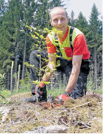 Wer im Fr�hjahr pflanzen will, sollte jetzt den F�rderantrag stellen, damit der Bewilligungsbescheid rechtzeitig vorliegt.