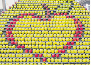 F�r drei Tage schlagen die Herzen der Obsterzeuger h�her, wenn vom 19. bis 21. Februar in Friedrichshafen die Messe Fruchtwelt Bodensee ihre Pforten �ffnet.