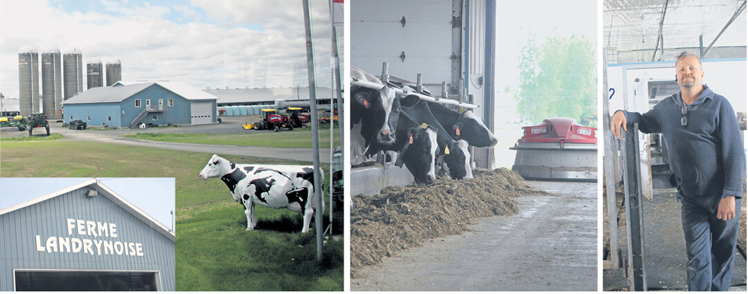 Die Br�der Carl (rechts), Daniel und Eric Landry halten 1100 K�he plus Nachzucht und eigene Bullen, Melkroboter und automatische Futtervorlage erleichtern die Arbeit, sie bewirtschaften 1800 Hektar Ackerland und besch�ftigen 15 Arbeiter.