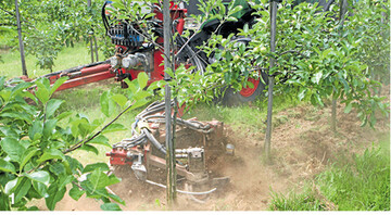 Die Kombination von chemischer und mechanischer Baumstreifenpflege k�nnte k�nftig auch in der integrierten Produktion ein Weg sein, um Bewuchs unter B�umen einzud�mmen.