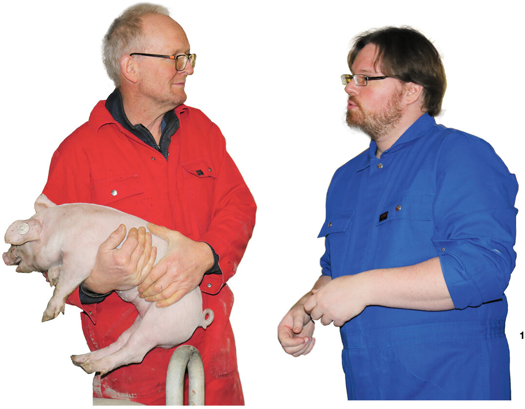 Wir sehen uns den Gesundheitszustand der Ferkel genau an, bevor wir entscheiden, welche W�rfe versuchsweise nicht kupiert werden", erl�utert Schweinehalter Rainer M�ller (l.). Damit, so LSZ-Mitarbeiter Dr. Frederik L�wenstein, werde die Entz�ndungslast bei den Ferkeln erfasst und beurteilt.