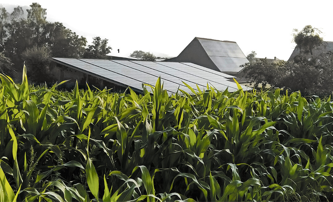 Trockene Sommertage speisen die Fotovoltaikanlage, den Pflanzenbau stellen sie aber vor Herausforderungen.