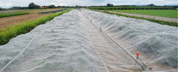 Die Auflage von Kulturschutznetzen oder Vliesen stellt in Schutzgebieten eine Wahlma�nahme des Integrierten Pflanzenschutzes dar.