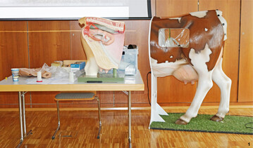 Modelle und Phantome veranschaulichen die theoretischen Grundlagen zur Besamung.�