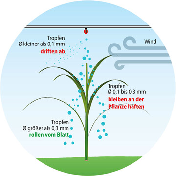 Tropfen sollten gr��er als 0,3 mm sein, um vom Blatt abzurollen.