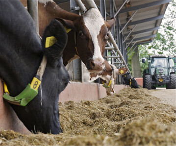 Steht die F�tterung von Milchk�hen in Konkurrenz zur menschlichen Ern�hrung? Ob dem so ist, dar�ber informiert nun ein Schl�ssel zur Lebensmittel-Konvertierungs-Effizienz.
