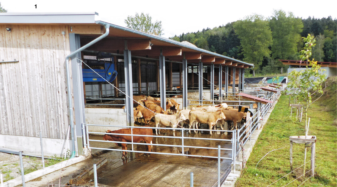 Mehrraumstall mit Auslauf und Scheuerb�rsten (www.eip-rind.de).
