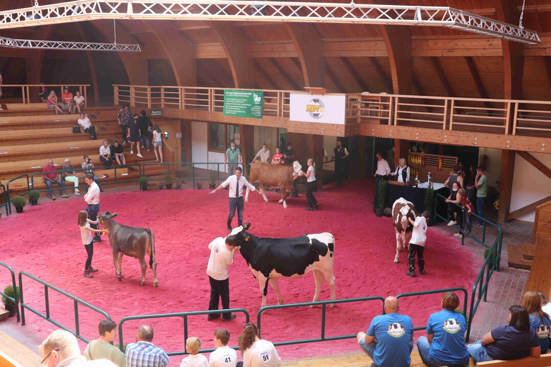 Jungz�chtertag 2020