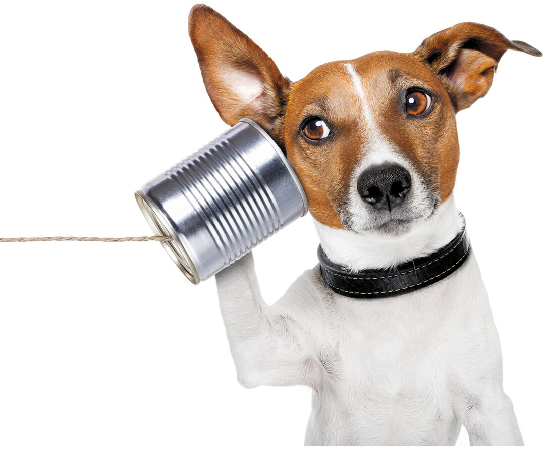 Wenn ein Headhunter anruft, sollte man sich sein Angebot anh�ren.