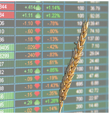 An den Börsen suchen die Weizenpreise gerade ihre Richtung. Dass China die Strafzölle auf US-Importe senkt, hilft dem Handel, was sich dann auch positiv auf die Preise auswirken könnte.