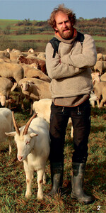 Für die Landschaftspflege ist es besser, wenn Ziegen in der Herde mitlaufen.