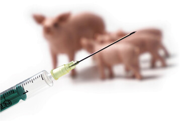 Der Einsatz von Antibiotika ist zu dokumentieren.