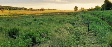 F�r die Weidehaltung hat sich der elektrische Weidezaun als H�tesystem in der Rinderhaltung durchgesetzt.